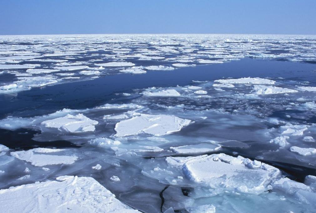 常见而持久的微塑料是什么，为什么它会对北极海冰造成威胁？