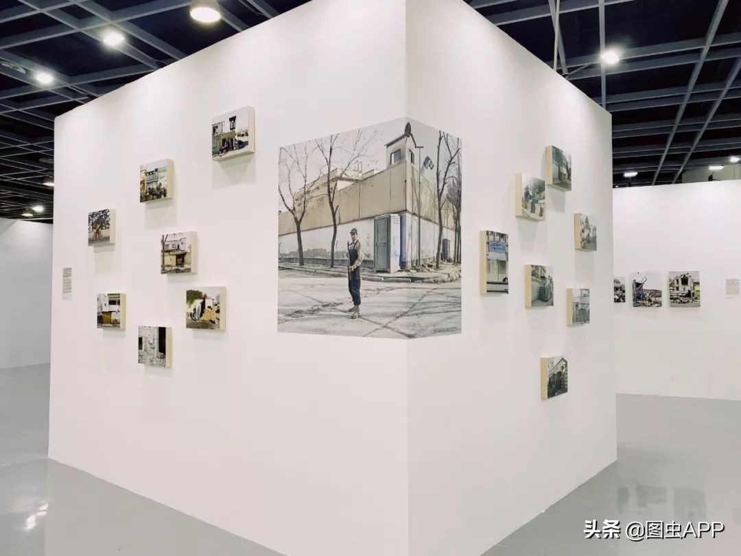 图虫opensealab摄影,图虫看动物世界系列