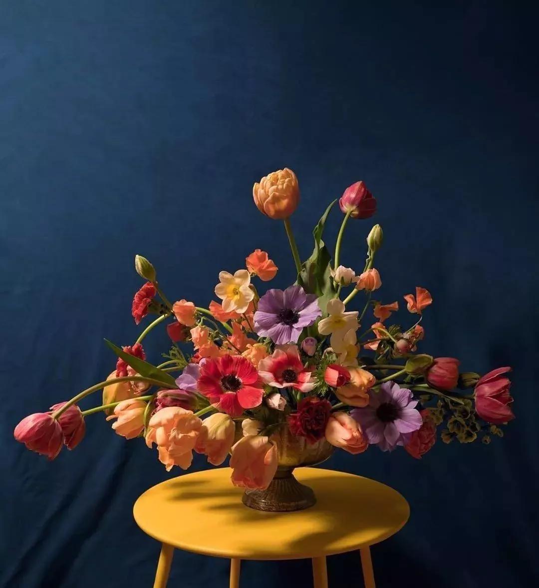 花材不剪枝如何养护,花材不用换水养护方法大全