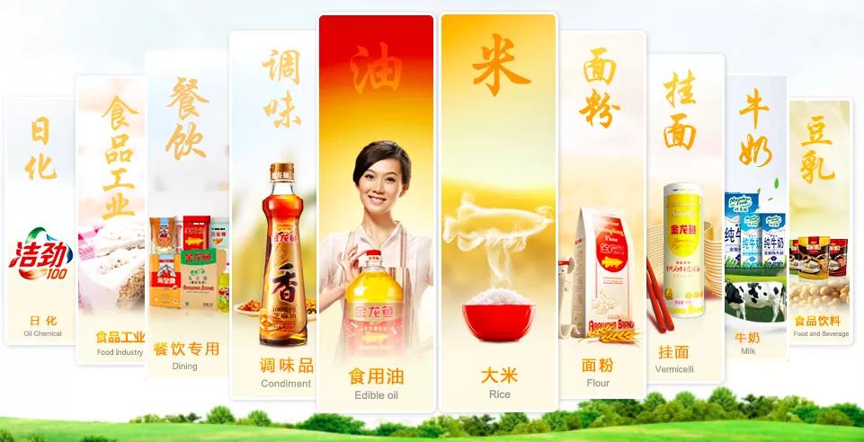 金龙鱼利润大幅减少原因,金龙鱼为什么净利率低