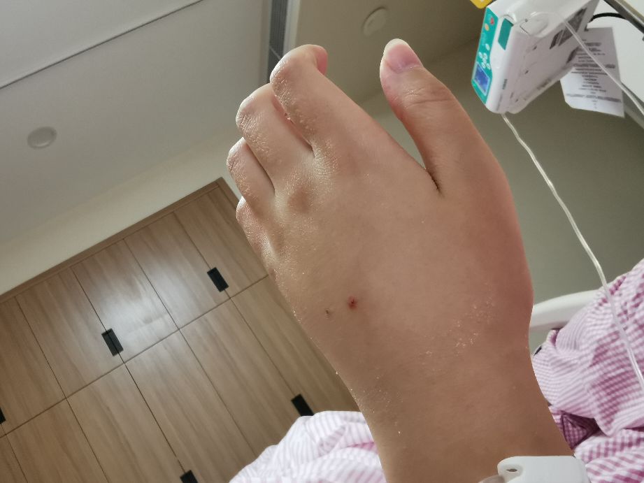 除夕夜在医院度过,鼠年到牛年,我走过的保胎之路