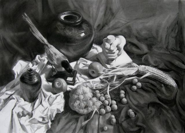 素描会画些什么,素描会涂色吗