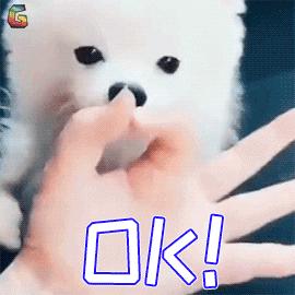 雅思考试瓶颈期视频,雅思备考一个月提分