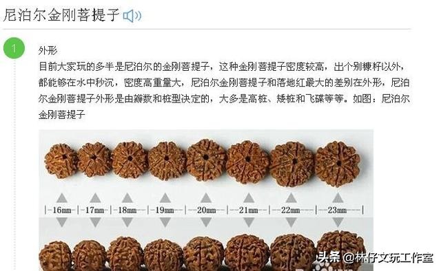 尼泊尔大金刚与落地红的简单区别,印尼大金刚就是落地红吗