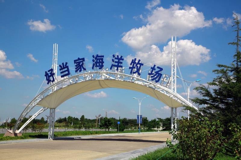 海参品牌第一名好当家,好当家集团海参原浆