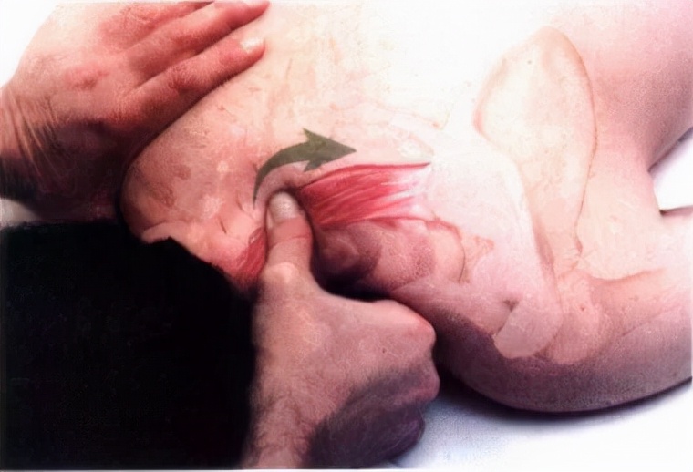 肩胛背神经卡压与颈椎病的区别,肩颈神经压迫会脖子痛吗