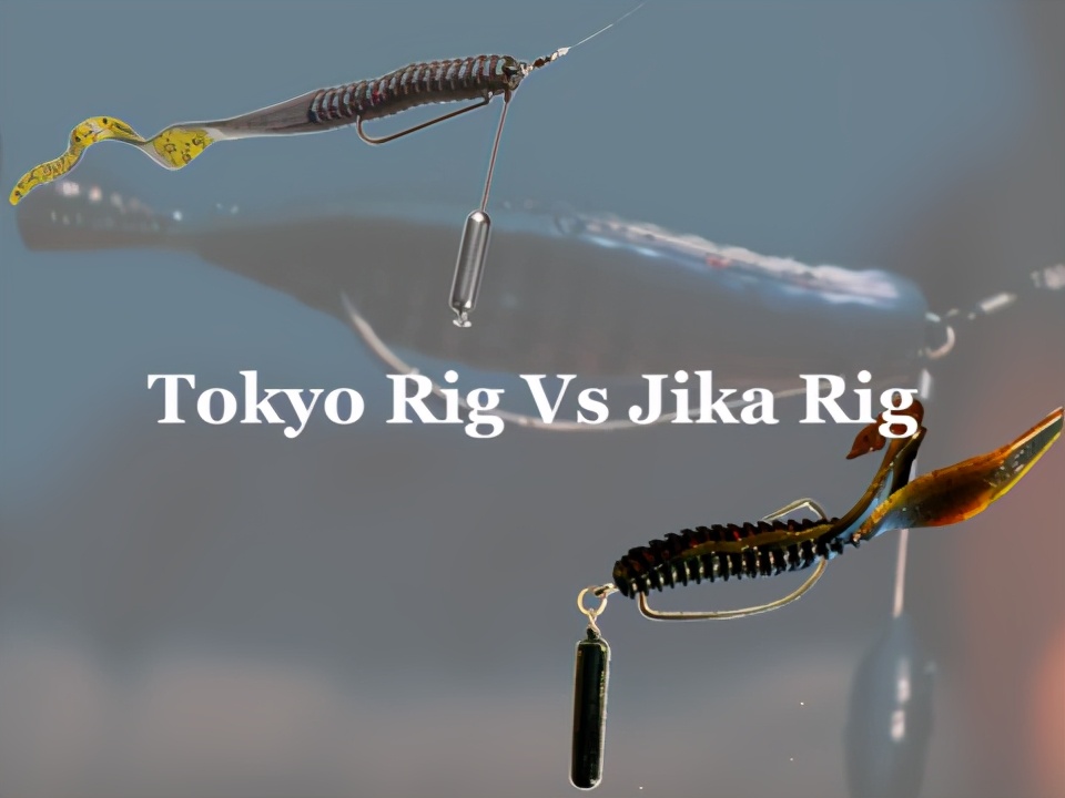 东京钓组和jika钓组,东京vs纽约数据对比