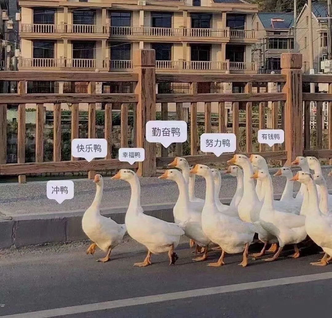 宝爸亲子故事 (宝爸的故事)