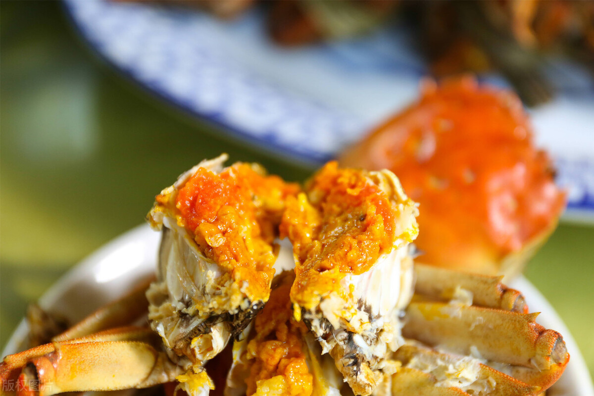 江南的秋天,温柔诗意,漫步姑苏城感受岁月静好,人间值得