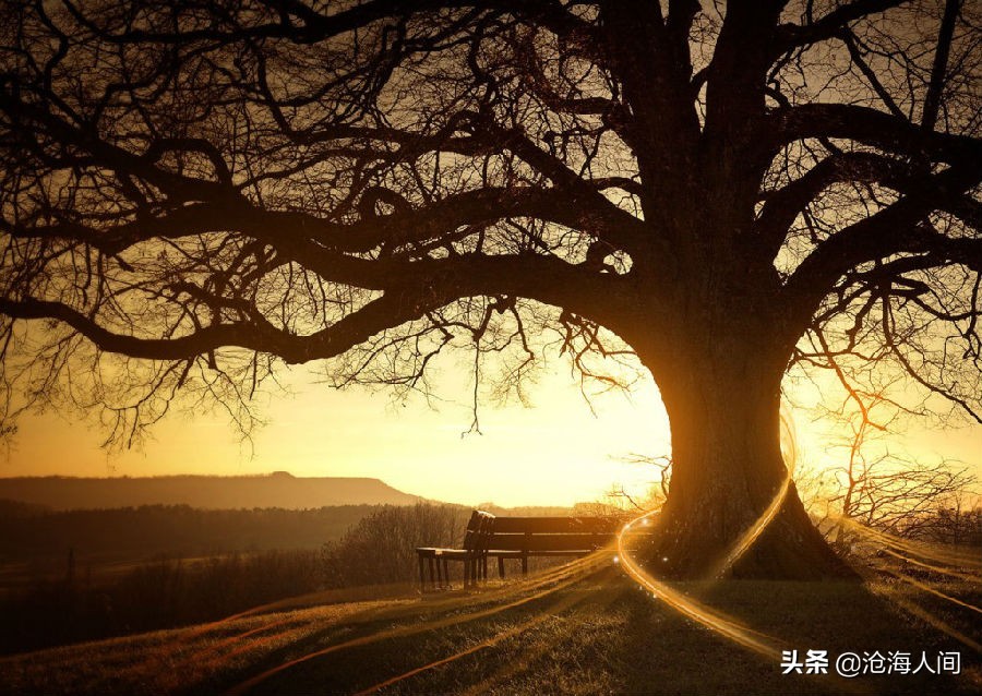 鲍勃迪伦音乐全集,blowinginthewind鲍勃迪伦