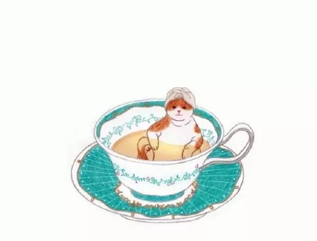 精辟又幽默的搞笑段子短句,最新朋友圈幽默搞笑说说