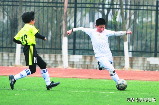 合肥封闭式训练基地,合肥最大足球基地