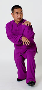 心意拳必学三招,心意六合拳十二把劲练法