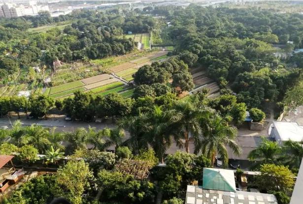 广州市天河区盈彩美居,盈彩美居的房子值不值得买