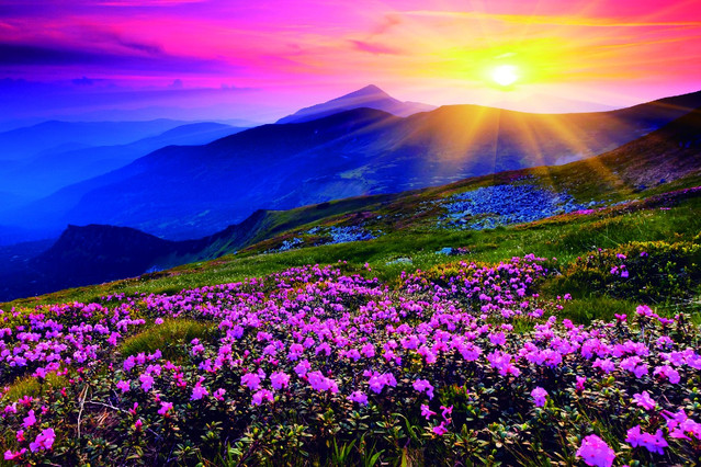 冬季四川哪里暖和适合旅游,四川最适合避寒的小县城