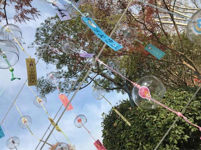 南京秋天旅行攻略,来南京体验秋天浪漫