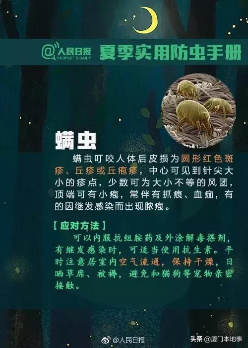 厦门人当心！又有虫子出来惹事！被咬后严重可危及生命