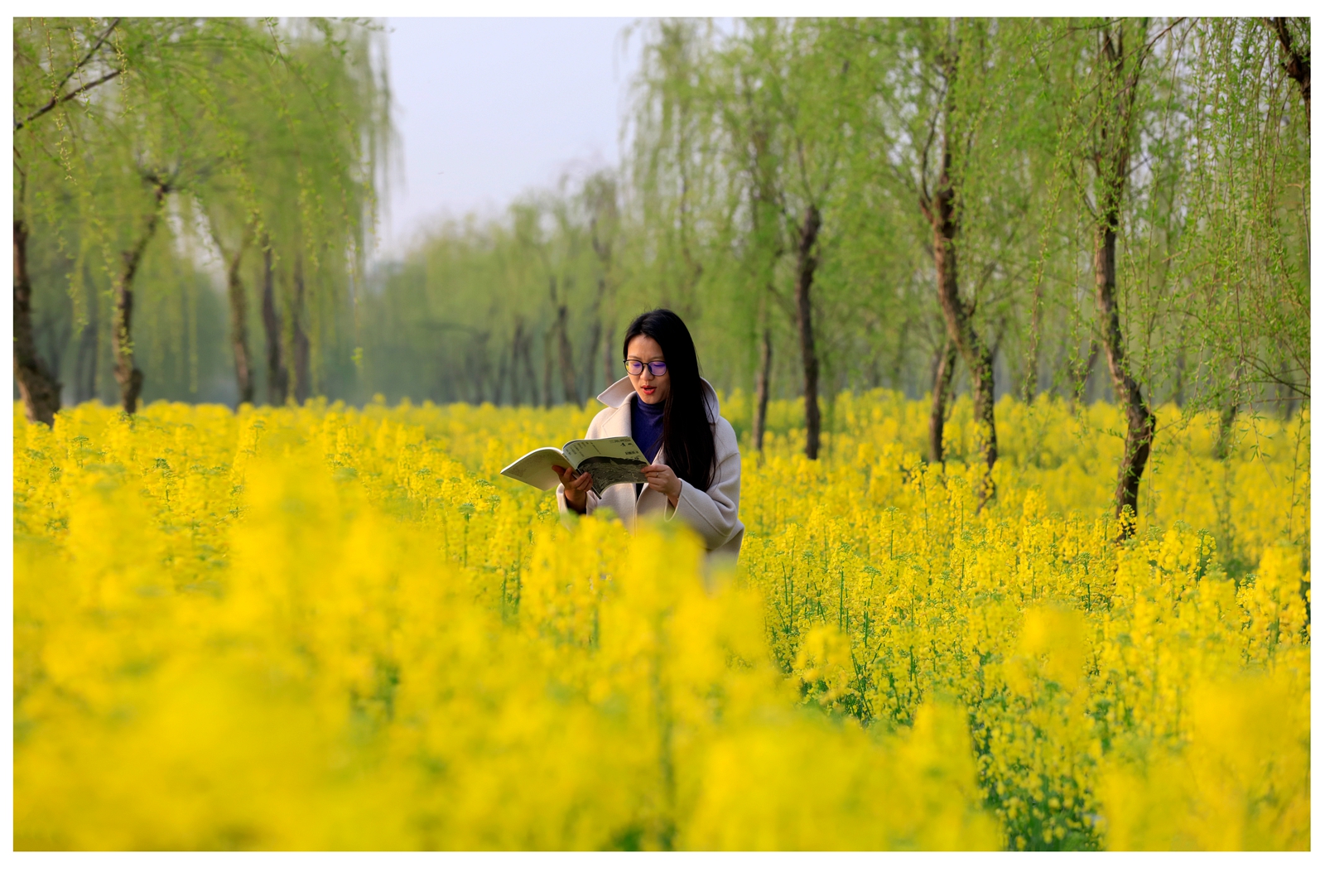 江苏海安曲塘古镇,海安市曲塘