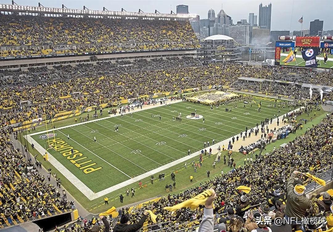 nfl球场上空飞机飞过,nfl球场是什么草皮