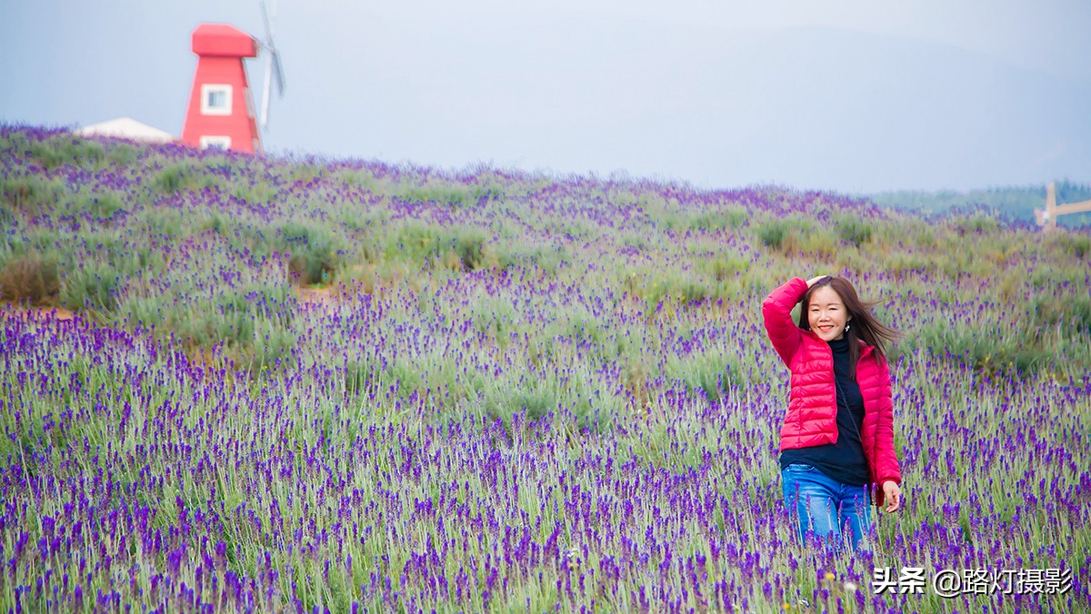 云南西双版纳周边适合养老的地方,云南适合旅居养老的几个悠闲小城