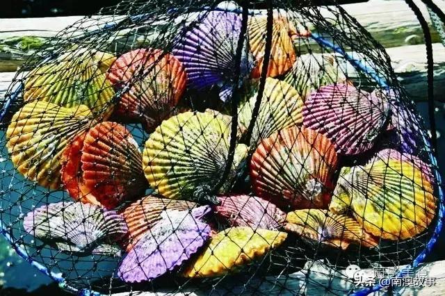 水煮贝壳类海鲜煮多久,海边海鲜用什么水煮好吃