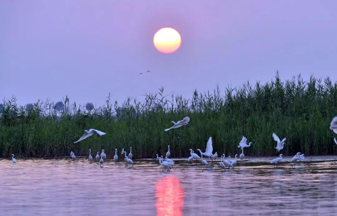 「992|动听河北」这片湖被称作“东亚蓝宝石”,竟是禹王治水留下的“禹迹”