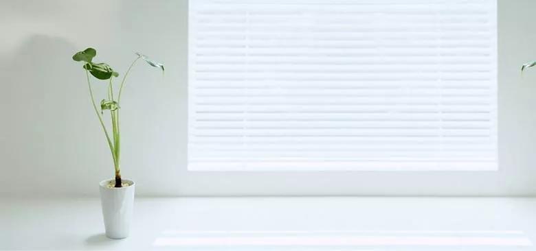 拿着卖白菜的工资操着卖粉的心,拿着卖白菜的钱操着卖粉的心