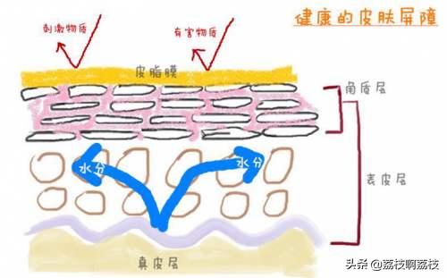 一到换季就脸红,过敏脸红用什么护肤品好