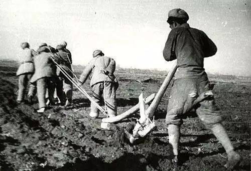 1931年，黄公略牺牲，毛*东泽**评价：毕生何奋勇，好教后世继君来