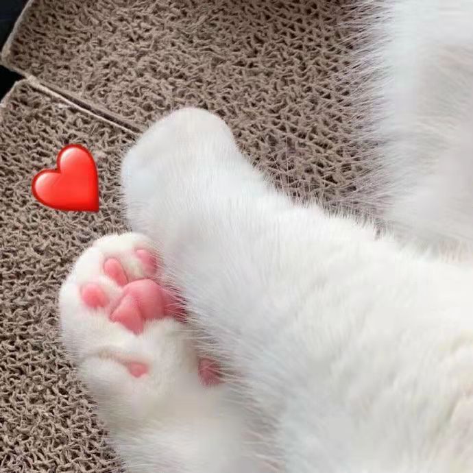 夏季变美思路,三个快速变美思路