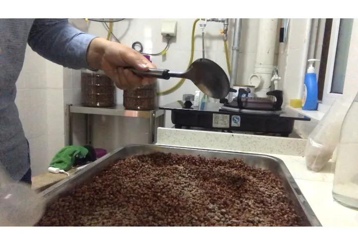 白酒生料酿酒发酵技巧视频,家庭白酒酿酒最简单的方法