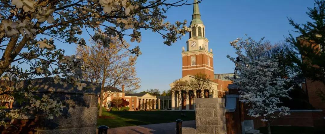 WFUBA|小班教学，就业率100%，留在美国的中国学生很多...