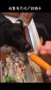 无线路由器搞笑图片,搞笑路由器视频大全