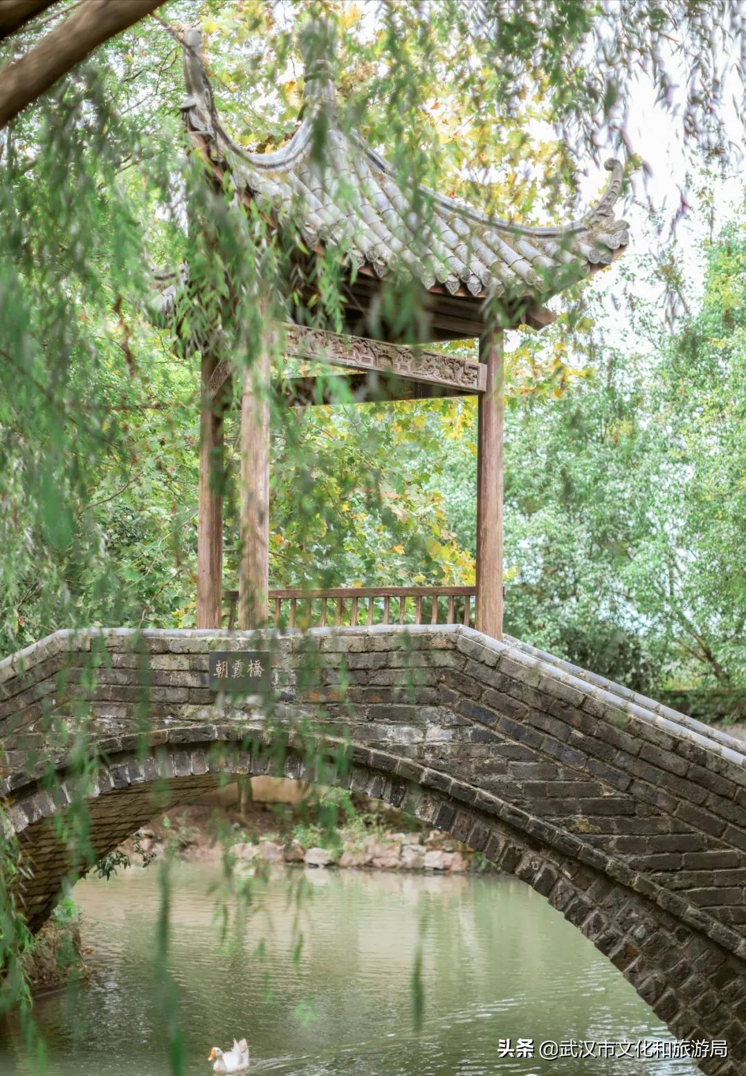 花young官方购票,花young套餐29元103g联通