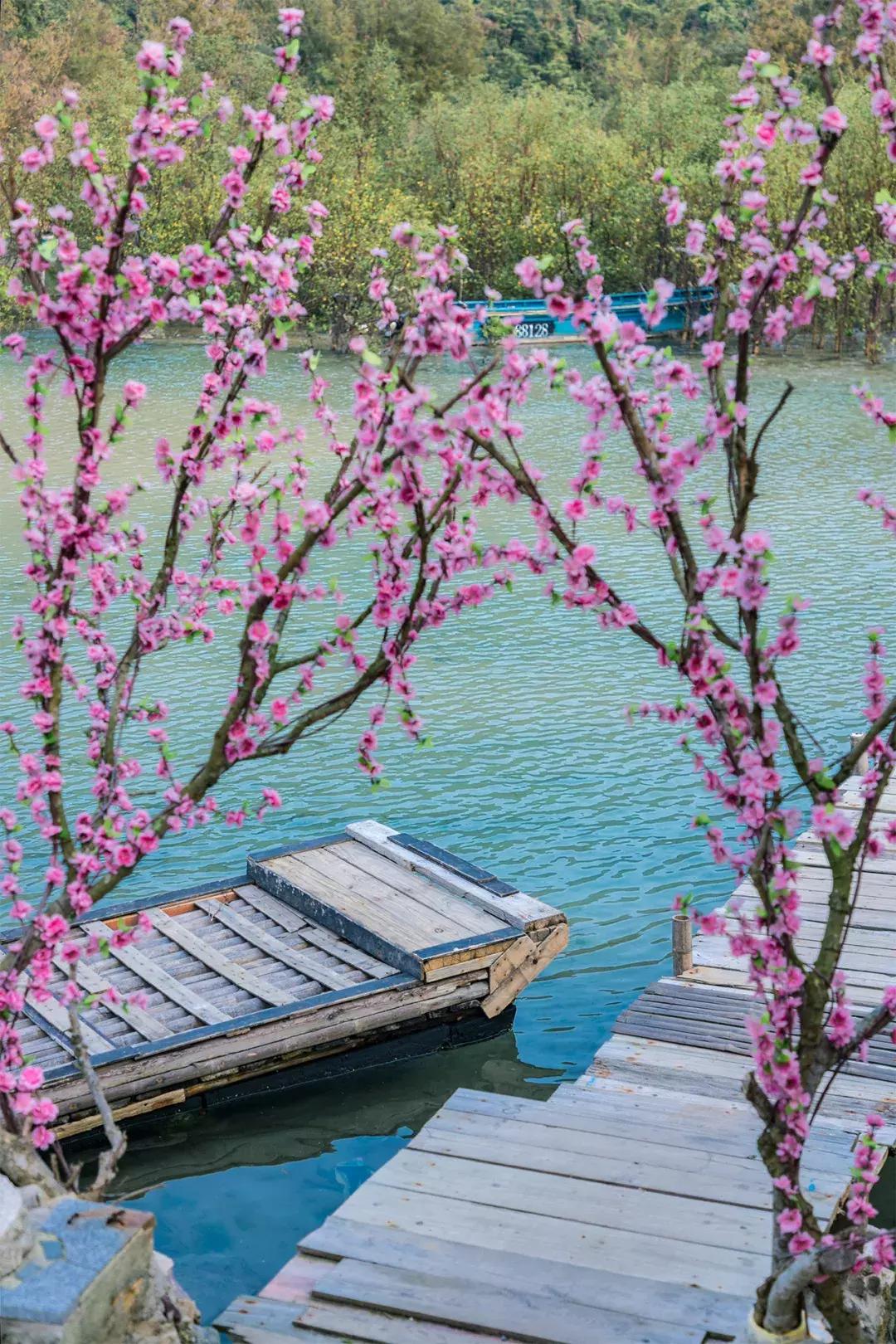 大鹏杨梅坑景区,杨梅坑旅游景点