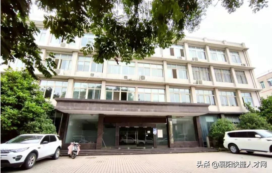 「周末双休」享五险、年终奖金、带薪休假！​大洲设计招聘啦