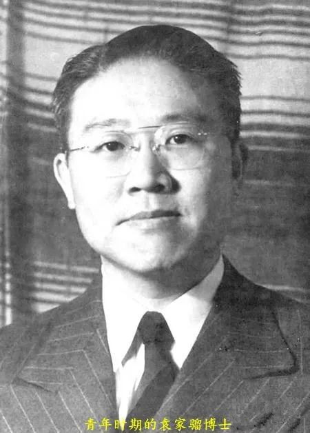 袁世凯子孙后代哪一支发展得好,袁世凯以及后人