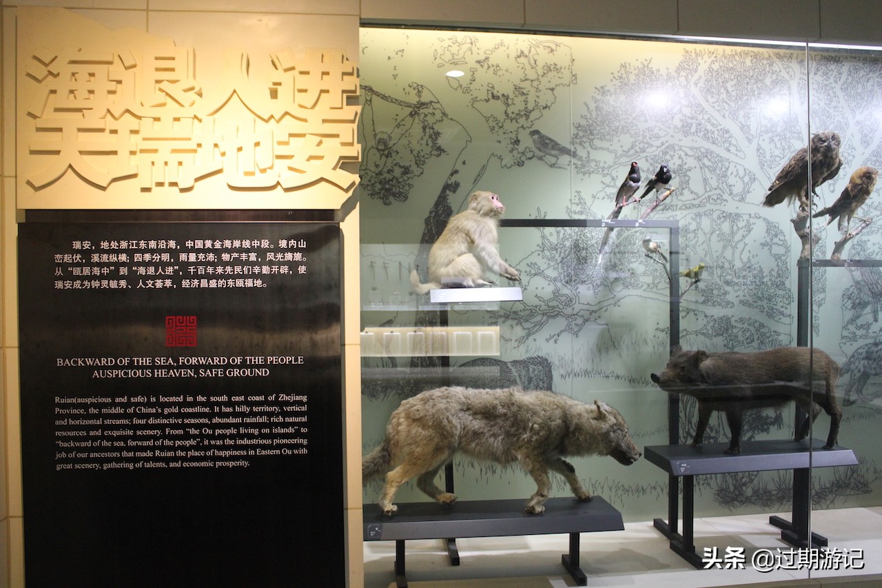 瑞安博物馆攻略,瑞安博物馆游览路线图