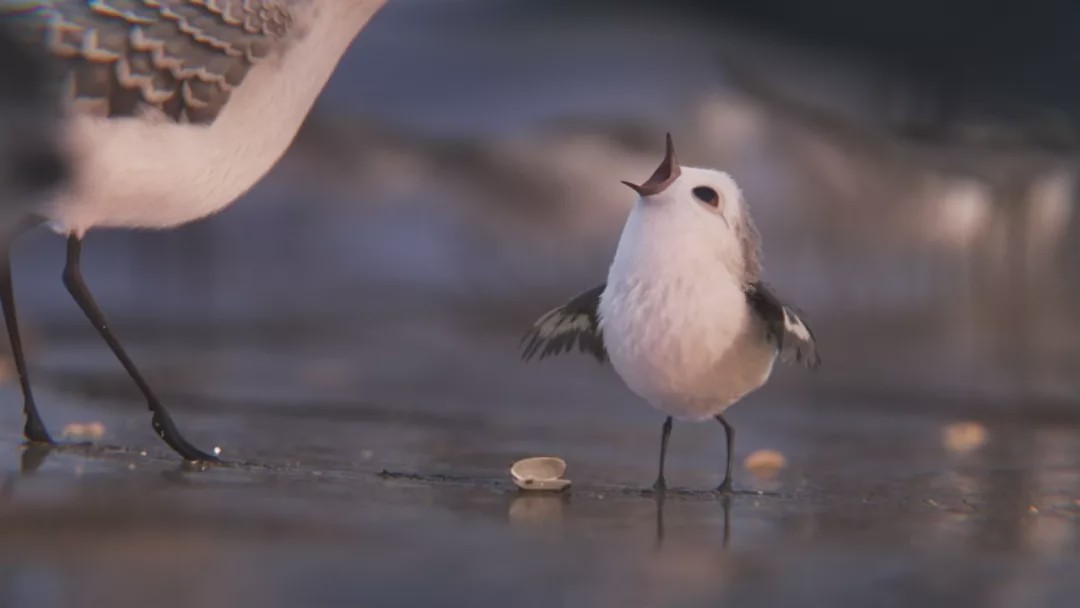 适合孩子看的奥斯卡获奖动画片,适合儿童看的奥斯卡最佳动画短片