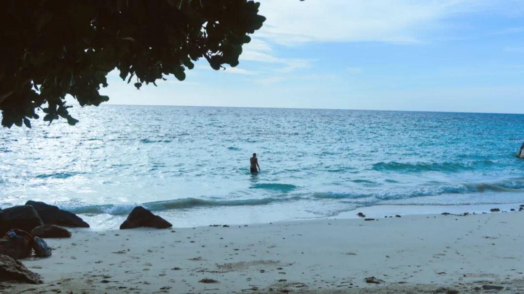 恋恋丽贝岛，人狗情未了|KohLipe