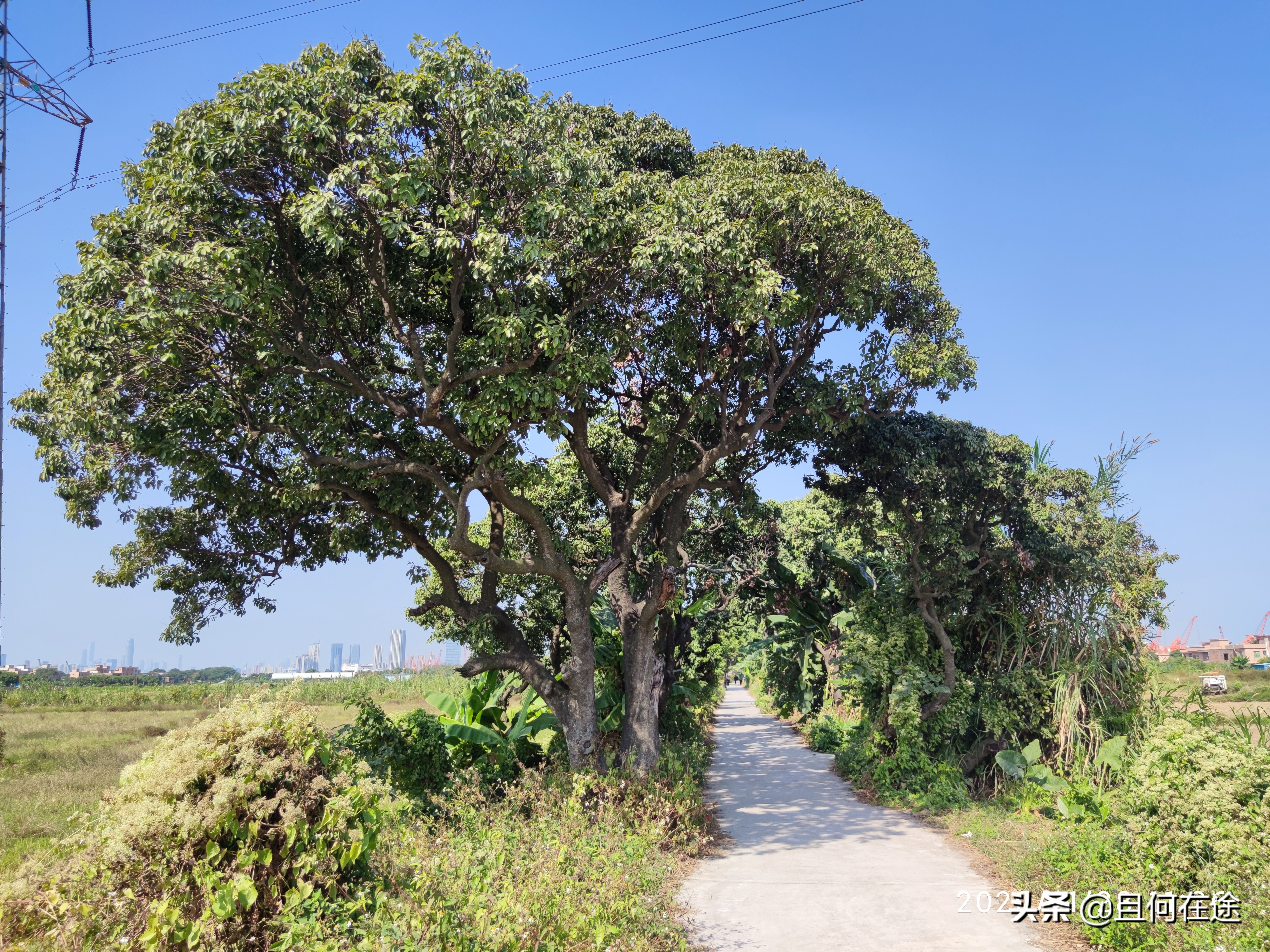 为什么要把饭碗牢牢端在自己手中,怎样才能把自己饭碗端在自己手里