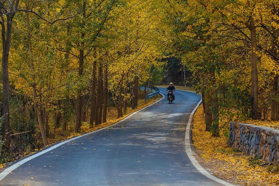 襄阳武汉周边旅游景点,武汉周边民宿旅游景点