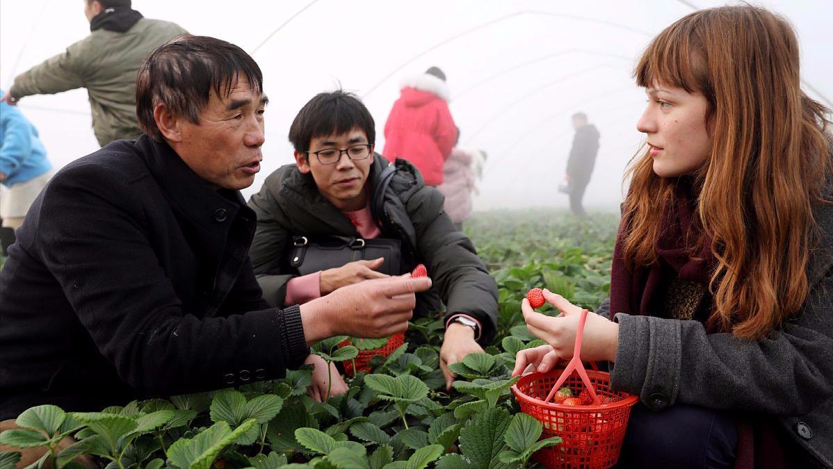 未来5年农村致富,未来农村5年内靠什么能发家致富