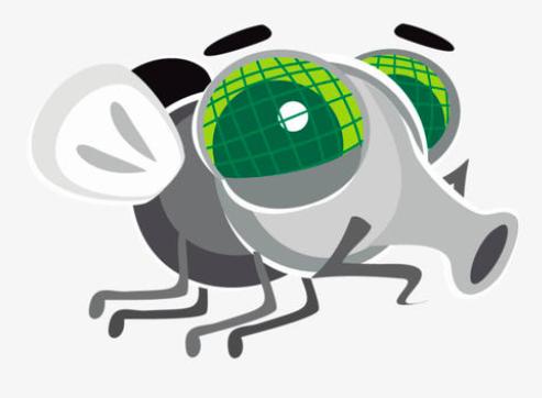 苍蝇灭绝对地球的影响,苍蝇为什么快要灭绝了