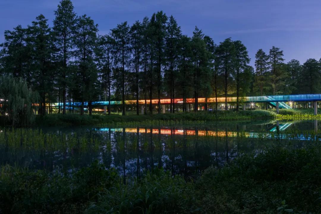 武汉华侨城湿地公园绿化,华侨城生态湿地公园武汉什么区