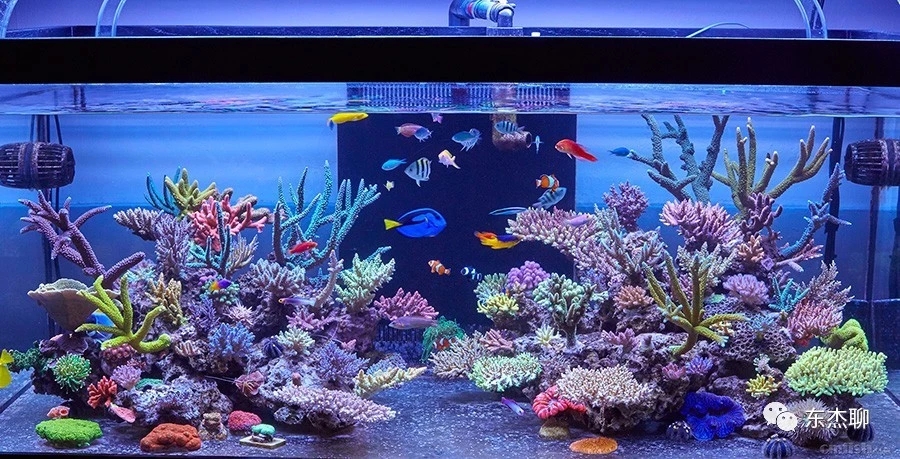 海缸推荐用什么过滤器,海缸用哪种过滤最好