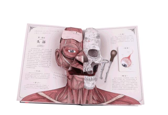 看病时不知道怎么说,看病是不是全部不舒服都要说