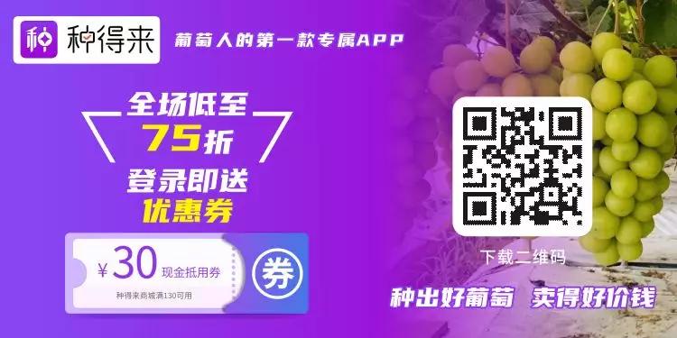 种得来APP-葡萄人值得拥有的四大理由