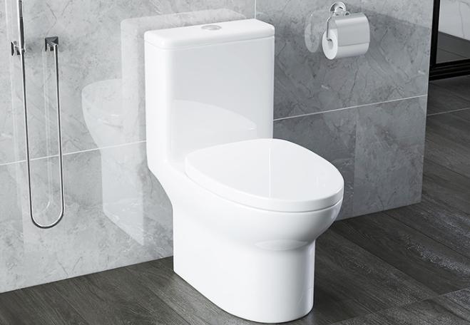 最硬核的马桶,选购卫生间马桶有什么技巧