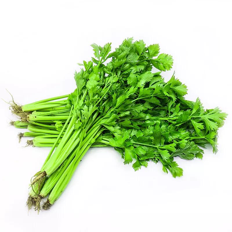 如何快速去除口臭牙黄,你有口臭怎么办